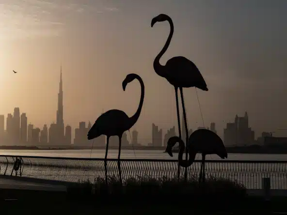 Dubai Creek Harbour